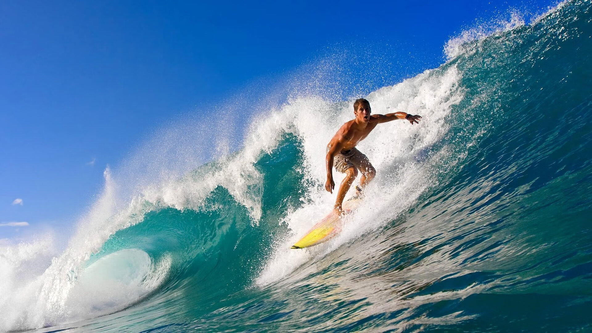 体育赛事主题日活动促进亲子参与与社区互动，体育赛事主题活动清单